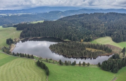 Renaturieren und Arbeit mit den Kemptener Freunden